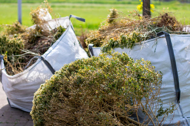 Best Furniture Removal Near Me  in Kings Beach, CA